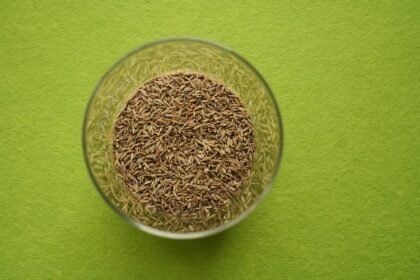 Badakhshan Cumin